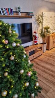 AUXBRG - 4 Zimmer, XL Terrasse, 65 Zoll TV, PS4 - 7