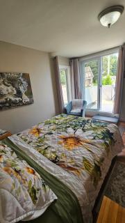 Séjour Flèche du fjord vue Saguenay Mont Valin - Saint-Fulgence - 1