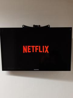 Palmieri cit turin - 9