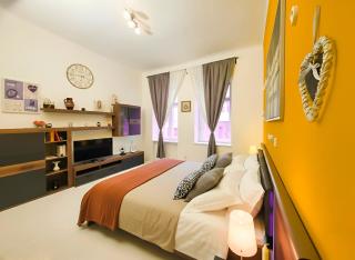 Apartment in the center of Prague - 7