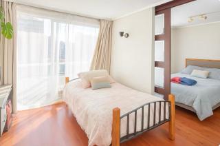 Disfruta el Centro de Santiago con lavadora y Aire acondicionado - 2