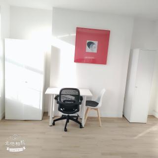 Newly refurbished two bedroom flat by Euston - Londra - 4