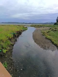 Tu Refugio Quellon - 9