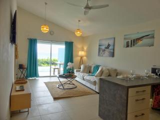 Amazing 2BR with private pool in Oyster Pond - 7