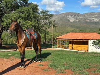 Lapa Rupestre - Haras e Sitio Arqueológico - Serra do Cipo - 7