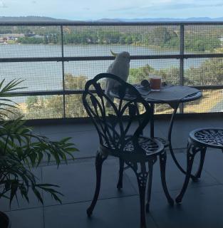 Stylish Central Lake View Apartment - free parking - 9