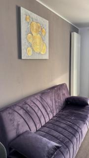 Venus Serene Studio in Coresi - Braşov - 9