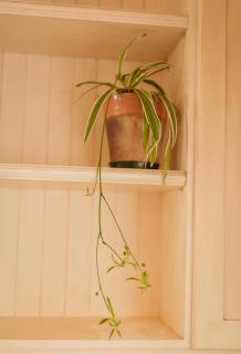 Charming Historic Home in Central Stellenbosch - 5