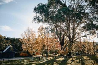 Maple Lodge - 25 Percent Off Special Dec & Jan Stays! - 7