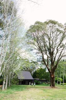 Maple Lodge - 25 Percent Off Special Dec & Jan Stays! - 1