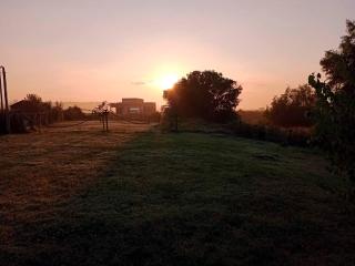 Villa Pancha - Alojamiento Rural en Concepción del Uruguay - 4