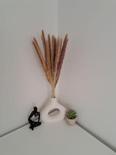 Willow Studio - a self-contained studio w parking - 8