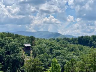 Bearly Behaving cabin - 3