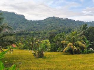 Manuk Dewata Villa - 8
