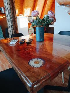 CABAÑA RAIZ INDOMITA PINTO Ñuble - 6