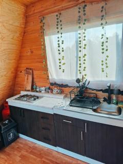 CABAÑA RAIZ INDOMITA PINTO Ñuble - 5