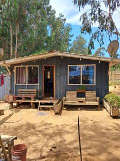 Cabaña Entre eucaliptos - 4