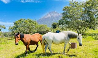 Hosteria Taita Pacho - 1