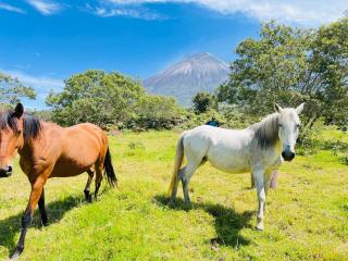 Hosteria Taita Pacho - 0