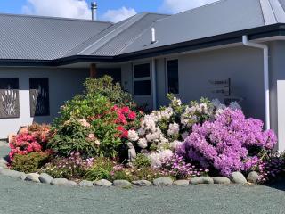 Suncrest Tasman Retreat - 9