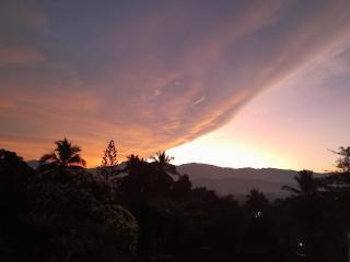 The Pinnacle Life - 7