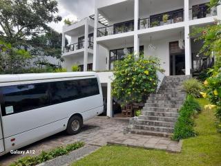 The Pinnacle Life - 1