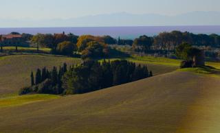 Podere Novo - Bibbona - 2