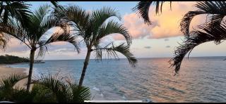 A slice of paradise - 0