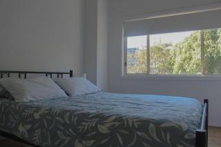 Kennington 8 Blackhead - 3