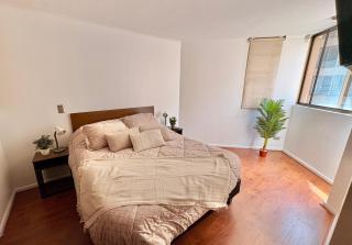 Apartamento a pasos del Metro y Museo Bellas Artes, Cerro Santa Lucia, Barrio Lastarria - 9
