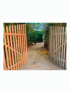 Casa Segredo da Mata - Santarém - 6