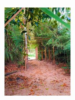 Casa Segredo da Mata - Santarém - 5