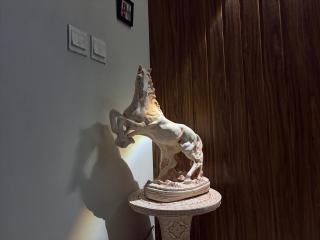 1BHK Furnished Apartment - 5