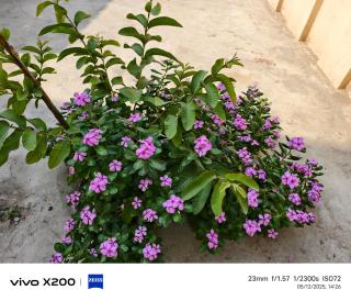 RMC Palace Ayodhya - 1