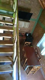 Complejo Rey del Bosque - 9