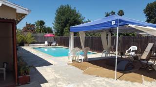 Hidden Gem In Plain Sight - 7