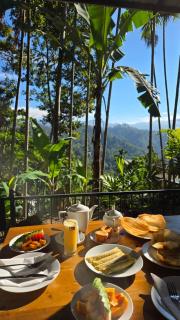 Mango Shadow Inn Ella - 9