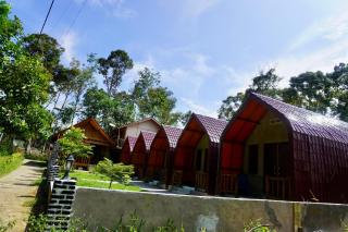 Ecotourism Bukit Lawang Bungalow - 7