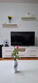 Modern Spacious ViS Raska Apartment! 5min Cafes - 4