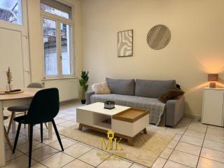 T2 Chic & Lumineux Bar-le-Duc Centre-Ville - 9