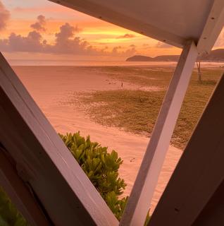 Ipala Glam Container - 8