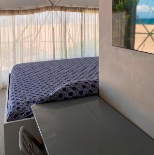 Ipala Glam Container - 1