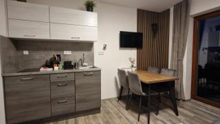 Apartmán Kovadlina 5 - Kovářov, výhled na Lipno - 9