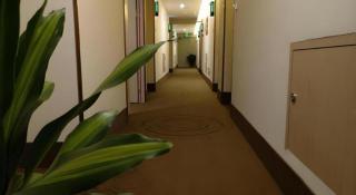 GreenTree Inn Xuancheng Jingxian Wannan First Street Express Hotel - 2