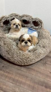 とっくりhouse - 4