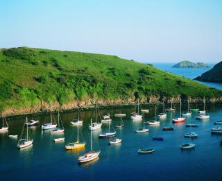 Bwthyn Clyd - St Davids - 7