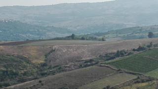 Agriturismo San Michele - Paternopoli - 2