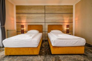 Allegria Hotel - Alba Iulia - 7