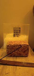 Zen and Arty home stay in DHA - 4