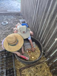 Mandalay Park Farmstay Dooralong Private Farm Holiday Home with Pool Animals - 8